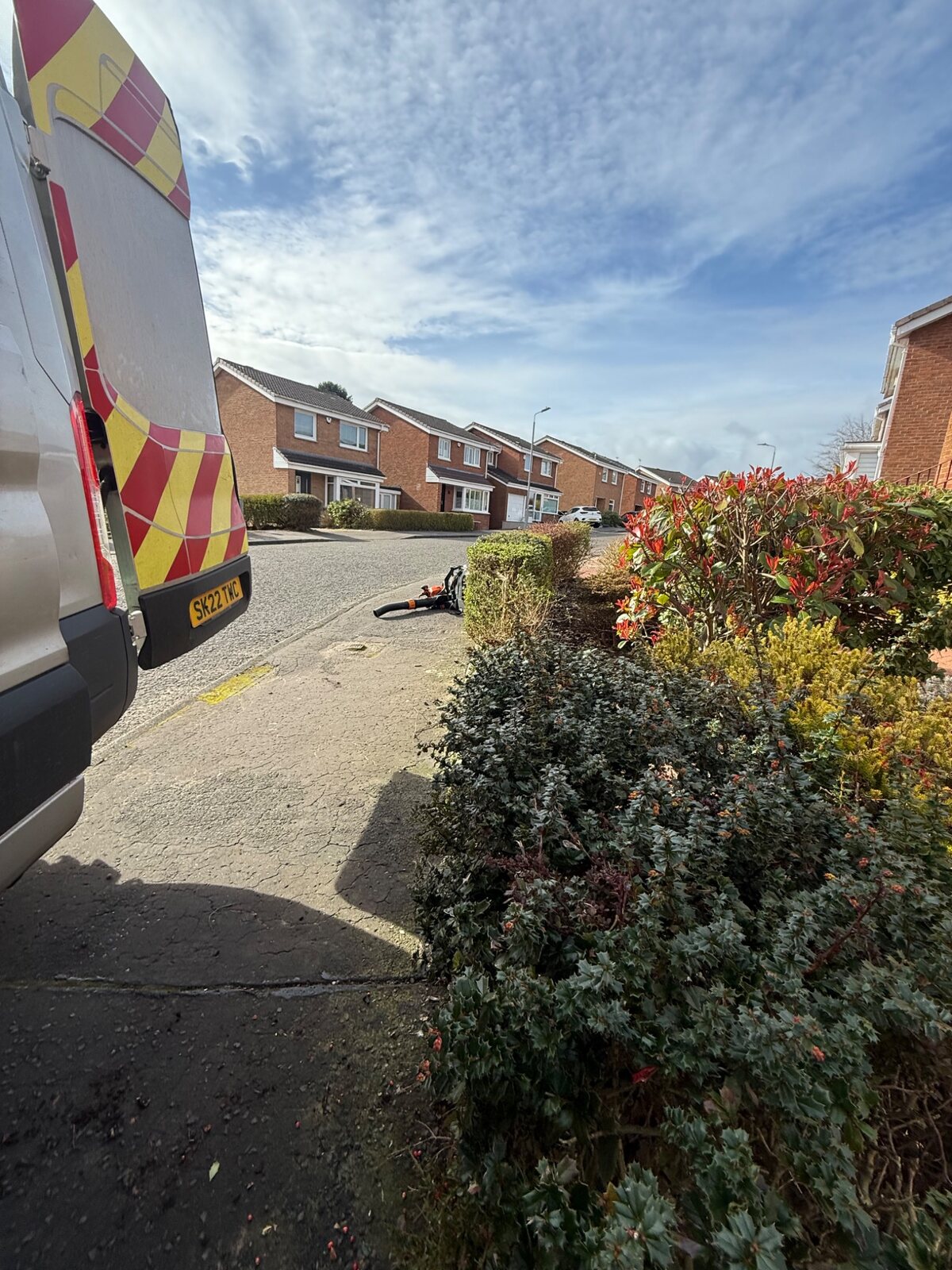 Residential hedge maintenance