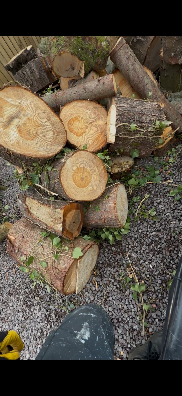 Timber processing and clearance
