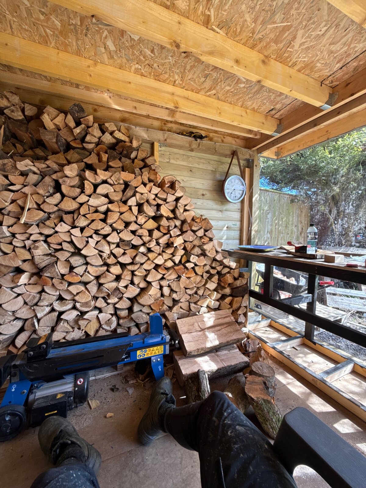 Processed firewood