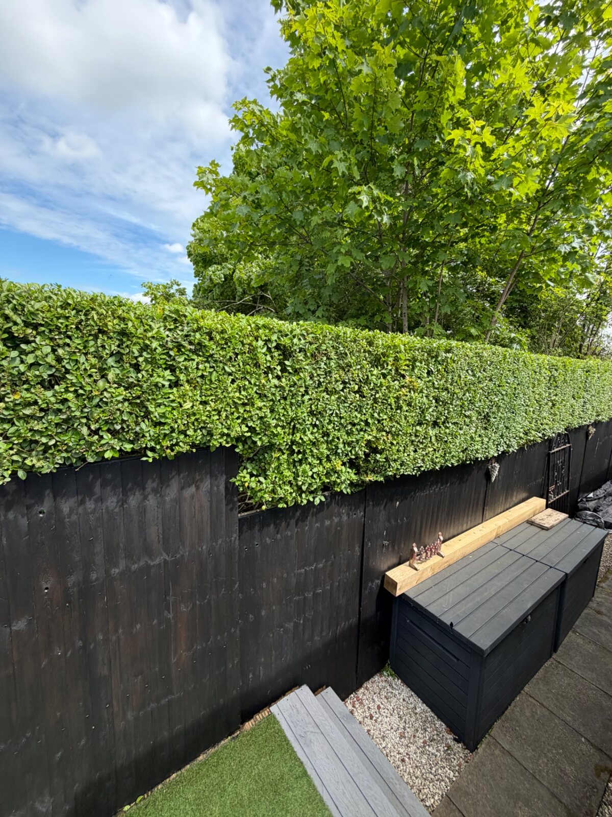Precision hedge cutting