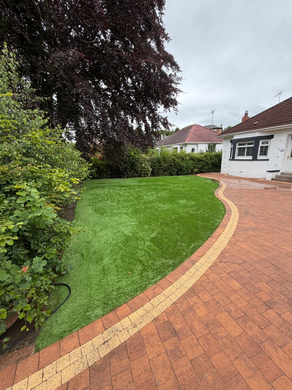 Large lawn transformation